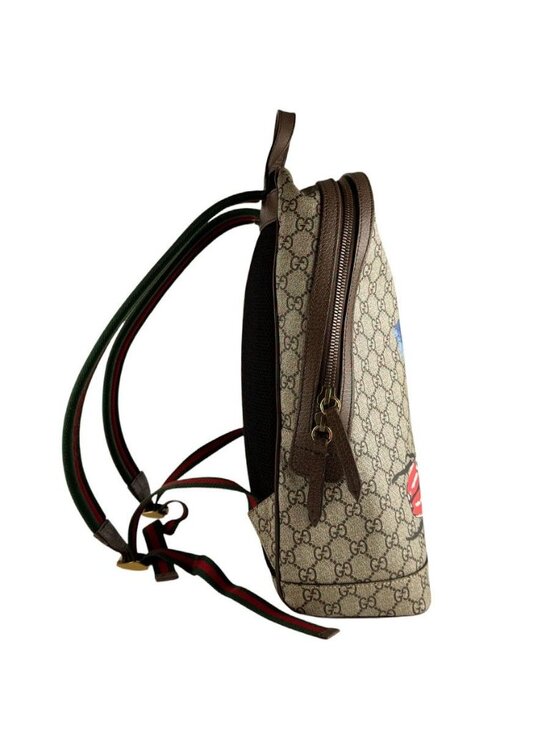Gucci Backpack Brown main image 5